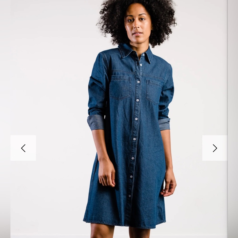NWT: ABLE Kate Denim Swing Dress (M)